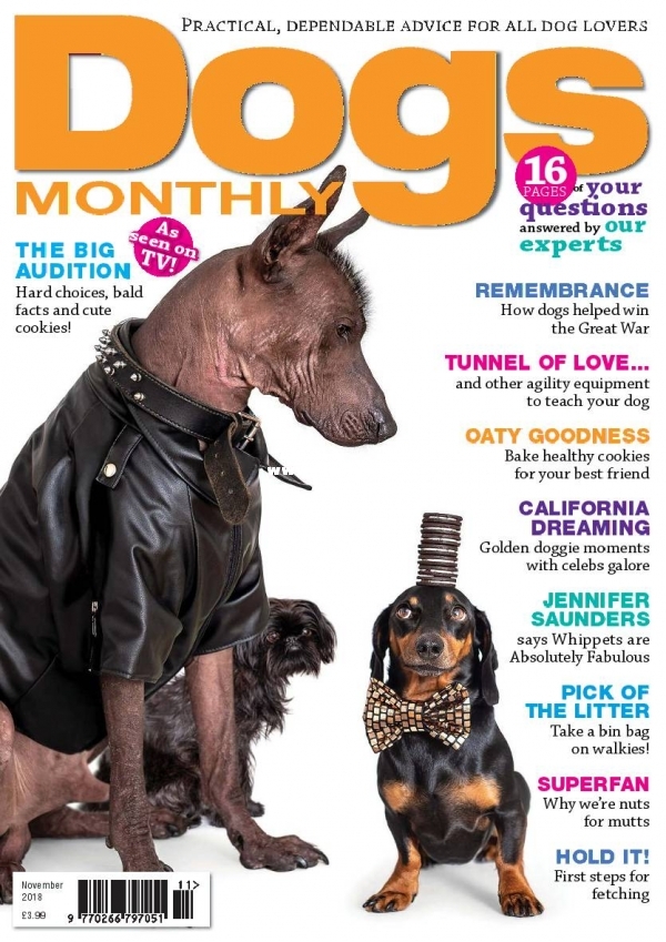 Dogs Monthly - November 2018.jpg