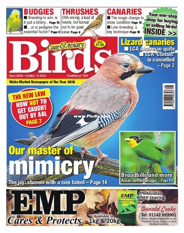 Cage &amp; Aviary Birds - 08 October 2018.jpg