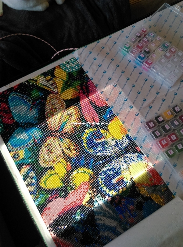 IMAG0263.jpg