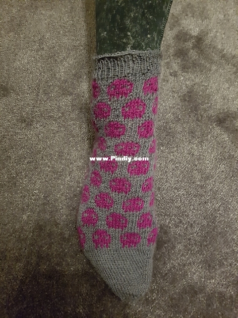 polka skull.jpg