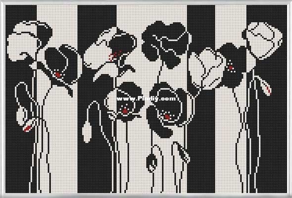 NovaSloboda_Black and white flowers.jpg