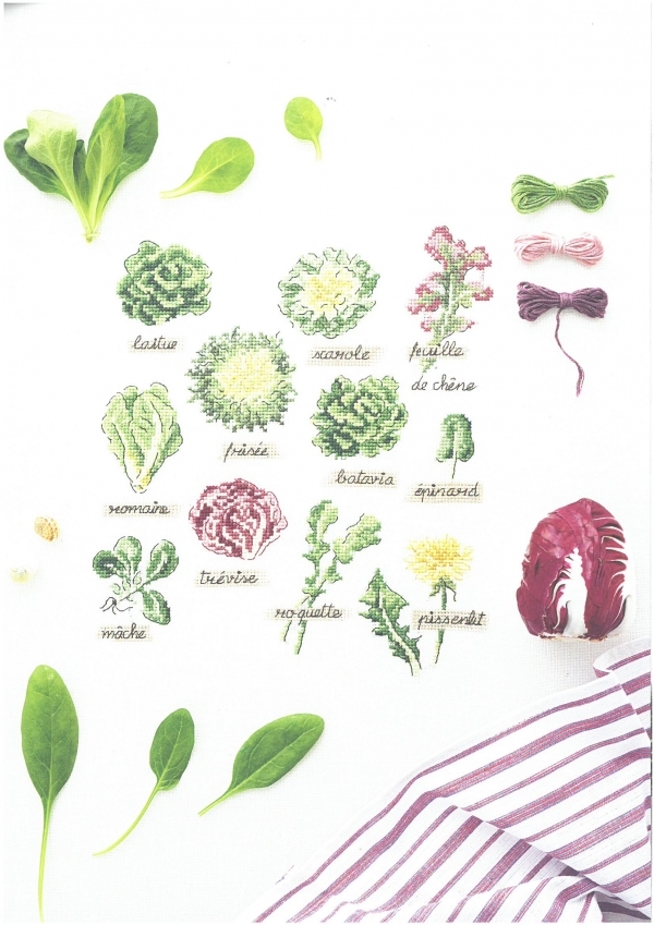 Mon jardin potager14.jpg