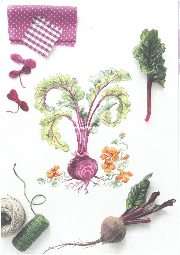 Mon jardin potager20.jpg