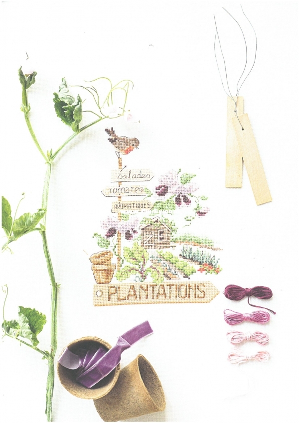 Mon jardin potager25.jpg