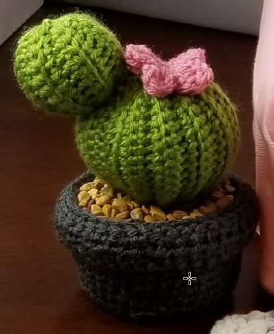 2018-11-2416_01_07-mini_Cactus.pdf-AdobeAcrobatReaderDC.png