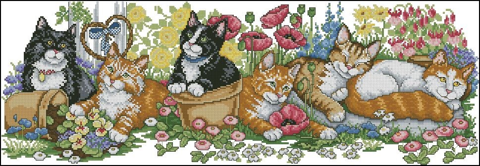 2309CatRow.jpg