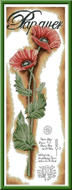 LanartePN-0154333RedPoppies.JPG