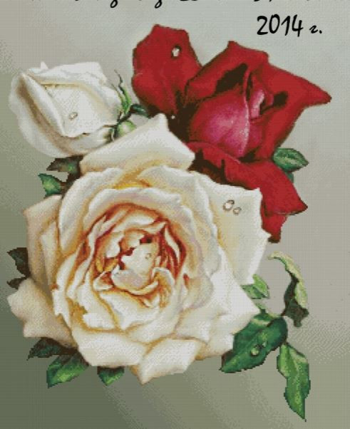 Chimera-Roses.JPG