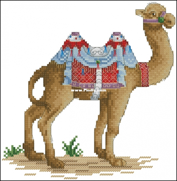Alisa Okneas - Camel.jpg