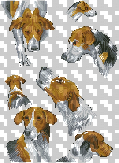 Alisa Okneas - Sampler with Dogs 2.jpg