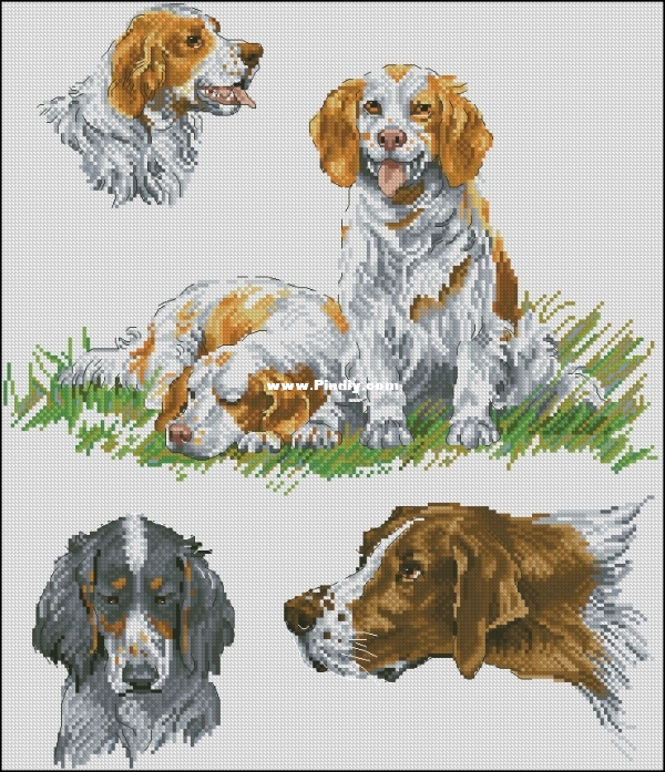 Alisa Okneas - Sampler with Dogs 1.jpg