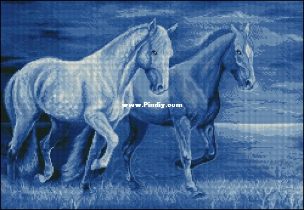 Nastunya 20 - Horses.jpg