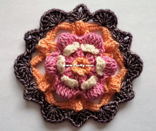 evelin karu - glow of sunset flower.jpg