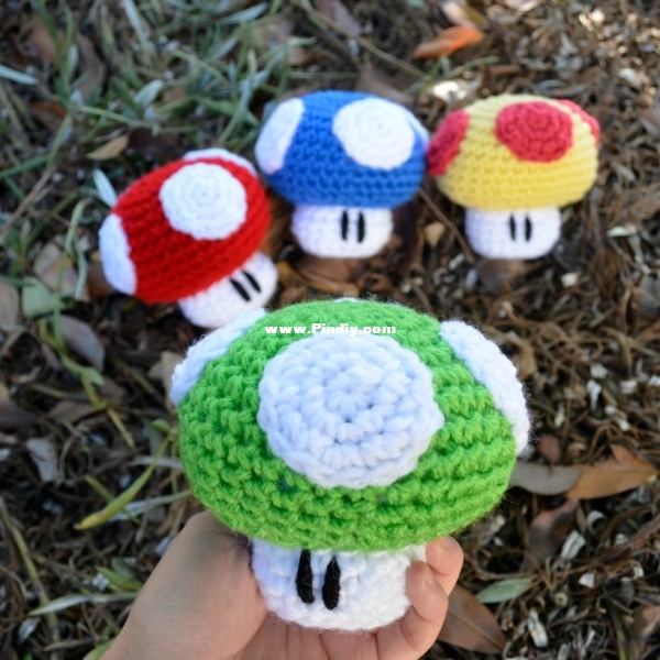 1-UpMarioMushroomAmigurumi.jpg