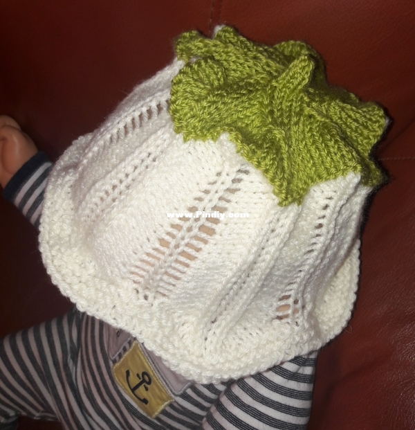 2019 01 12 Blue Bell Hat (3).jpg