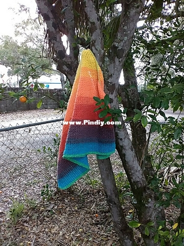shawltree_medium.jpg