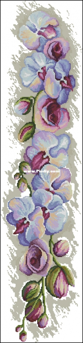 HP10037 Royal Orchids From Dein Kreuzstich Magazin 01-2017.jpg