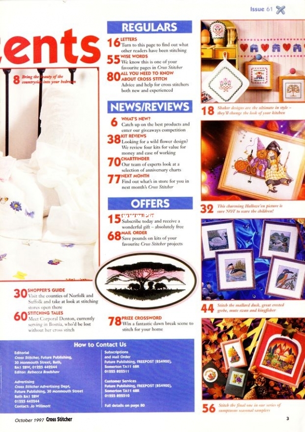 Cross Stitcher 61_3.jpg