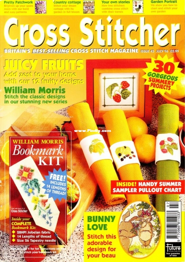 Cross Stitcher 45_1.jpg