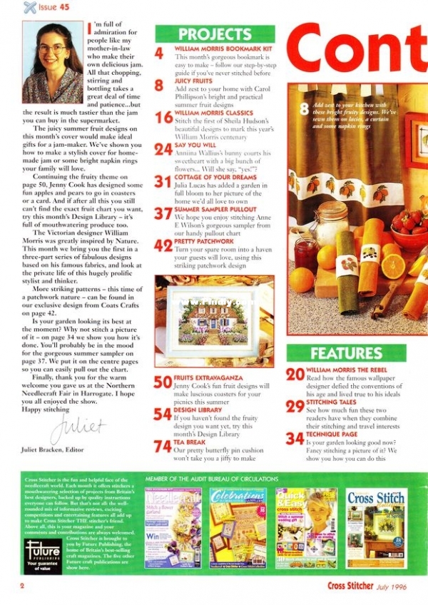 Cross Stitcher 45_2.jpg