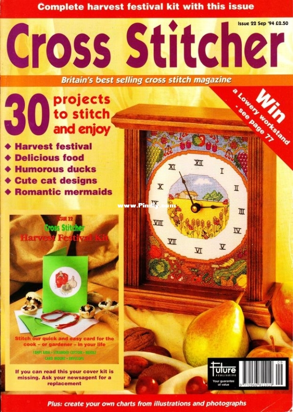 Cross Stitcher 22_1.jpg