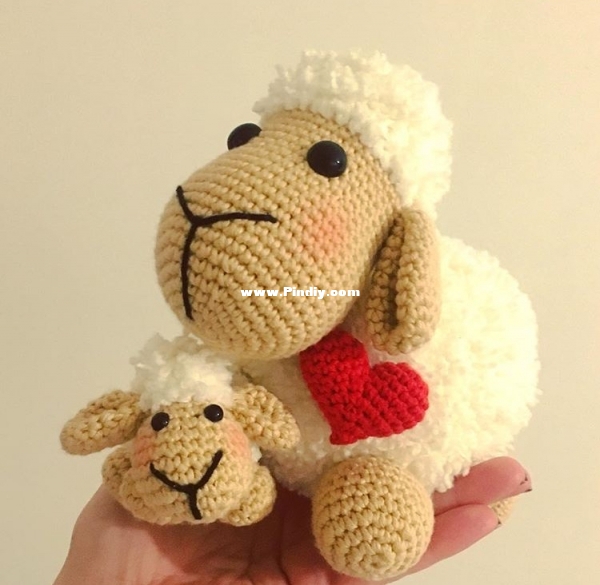Lovely sheeps