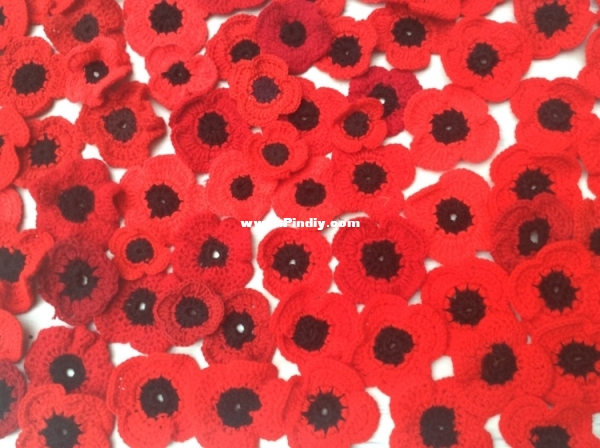 Crochet Poppies.jpg
