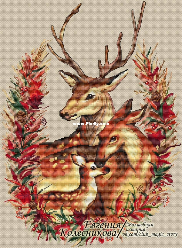 0 Reindeer - Evgenia Kolesnikova.jpg