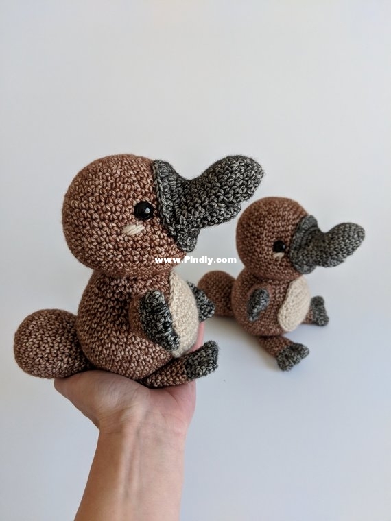 Belle and Grace HMC - Perry the Platypus.jpg