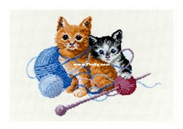 FCE0511 - Cats in the Wool.jpg