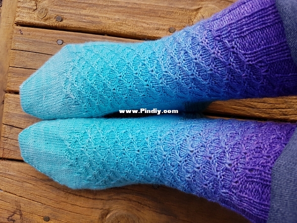 20180227_103125_medium2.jpg