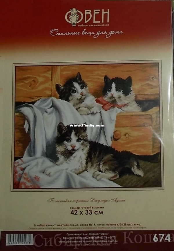 674 Kittens.jpg
