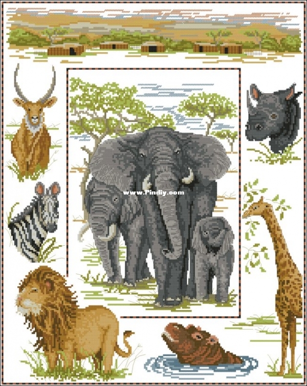 African Wildlife.jpg