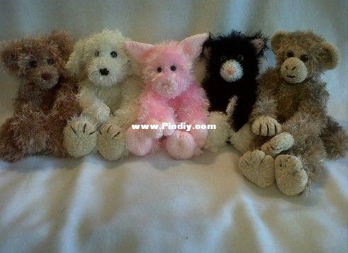 5 furry friends