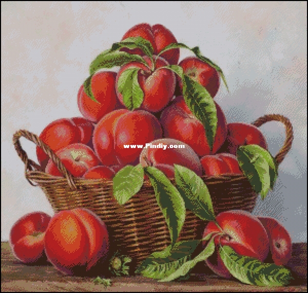 Shashnova E.A Abundance.jpg