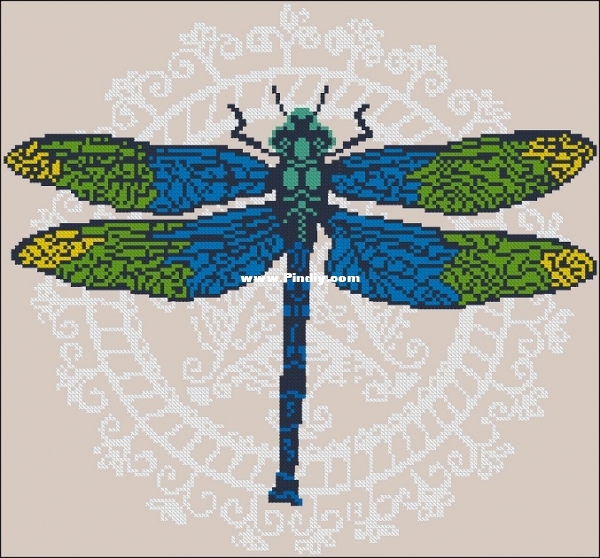 Anette Eriksson - Wings of Glory XSD.jpg