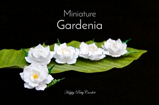 mini_gardenia_happy_patty_crochet_5_small2.jpg