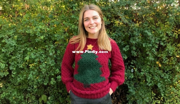 Johanna Christmas Sweater by Hobbii Design.jpg