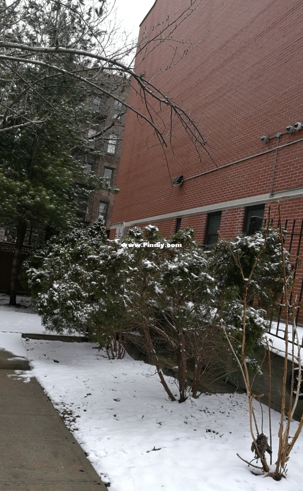 Snow.jpg