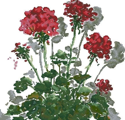 RTO CU048 OK XXX.JPG