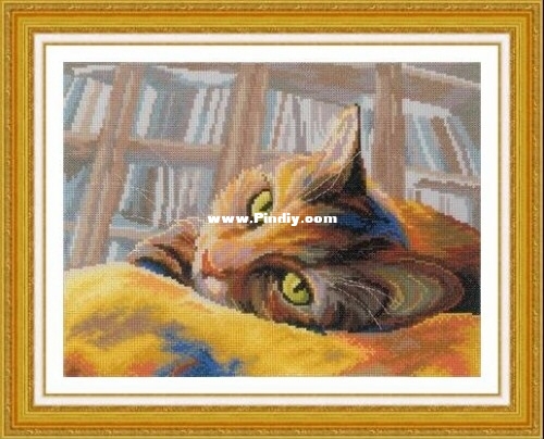 RTO M270 OK Cat Bookshelf.jpg