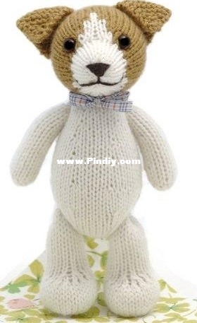 Fudge the Jack Russel Terrier