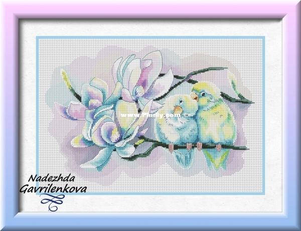 Lovebirds Color.jpg