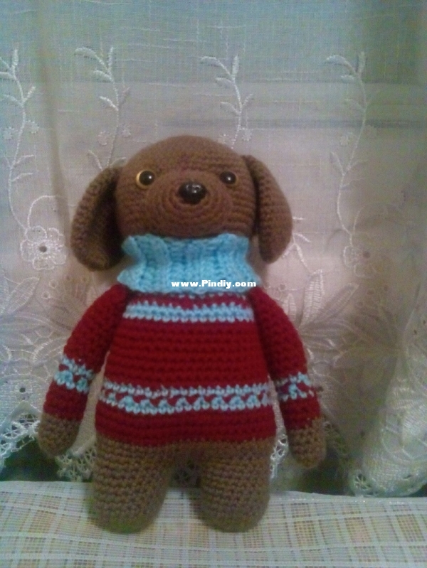 dog in a sweater
