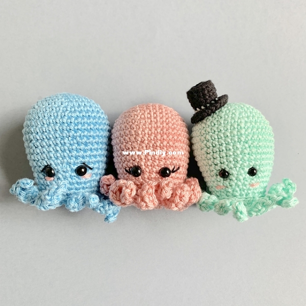 Baby Octopus