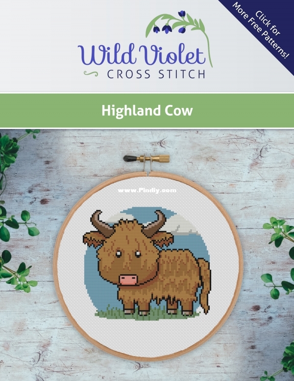 Highland Cow.jpg