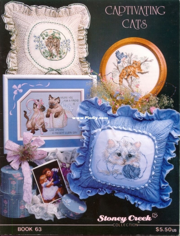 063 Captivating Cats 1.JPG