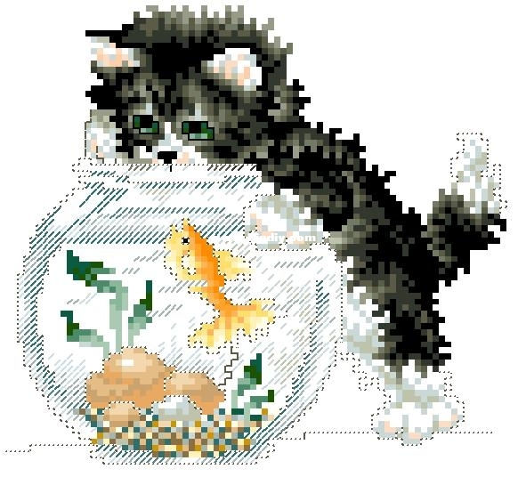 SC Book 63 Captivating Cats - Cat &amp; aquarium.JPG