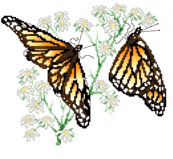 Stoney Creek - 075 Monarchs.jpg