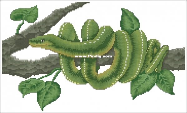 SC B241 Reptiles and Amphibians  - Python.jpg